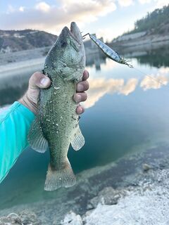 Кипр: день воблеров