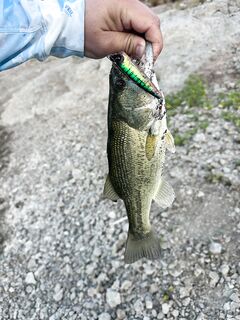 Кипр, финал отпуска: Арминиу и попперное безумие