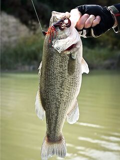 Кипр: дубль два