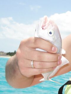 Варадеро: катамаран, попперы и крабы