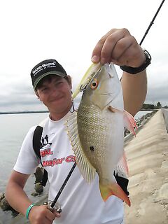 Береговая рыбалка в Варадеро: миф развеян