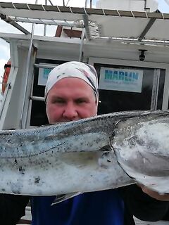 Куба: от Карибского моря до Кайо-Коко