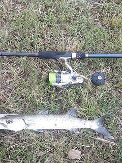 Прогулка вдоль канала и морской воблер от Savage Gear