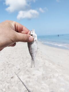 Пустая строка Кубы