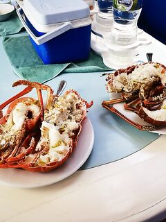 Невезучая Куба: ноль поклёвок и вкус лангустов