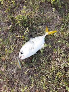 Вечерняя зорька над Варадеро