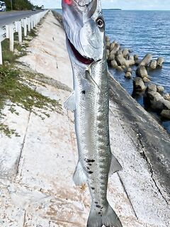 Неделя на Кубе: трудовая рыбалка и море эмоций
