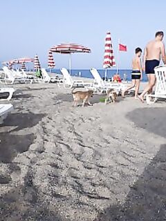 Можно серьёзно — значит, можно