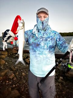 Канал, два снука и вечерний клёв