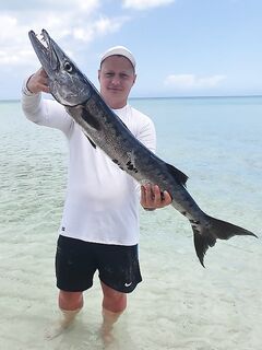 Кайо-Коко: барракуды до рассвета