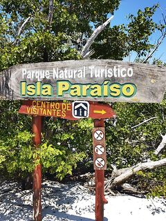 Катамаран и лангусты у острова игуан