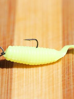 Проверка снасти и первые забросы по ставриде