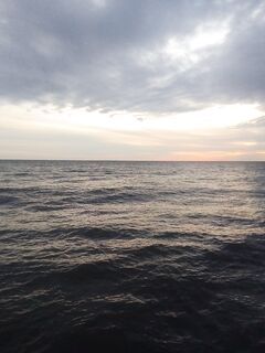 Горбыль на живца и штиль под вечер