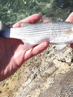 Майорка, пляж Cala d’Or и семейная рыбалка