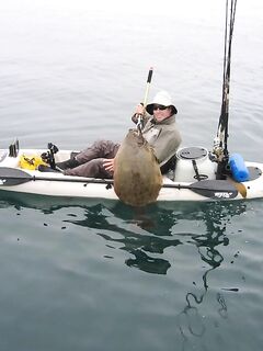 Палтус и каяк: шанс и риск