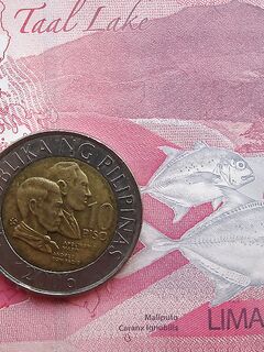 Ставрида и суховатый вкус моря