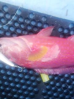 Нестабильный клёв и деревянная катушка на Бали