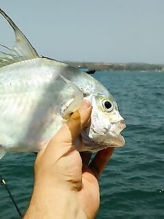 Порт, индонезийцы и рыболовецкая шхуна