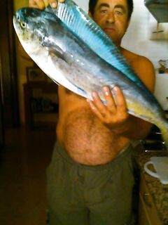 Советы по корифене и воблерам