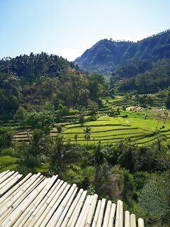 Большая поездка по Бали и рыбалка в Амеде