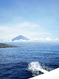 Руби снаппер и сломанный спиннинг у кэпа