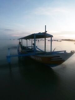 Цены на рыбу и ожидание отчётов из Пемутерана