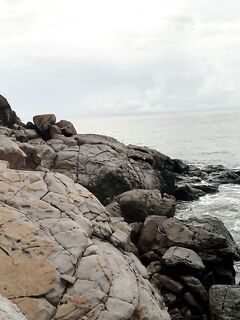 Попперы, гроза и усталость в Амеде