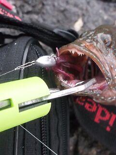 Когда прилив и кто знает про прилив