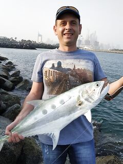 Дубай пляж Al Sufouh и поппер