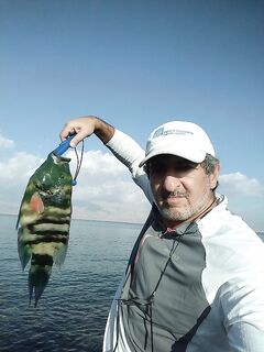 Неожиданный трофей в ОАЭ