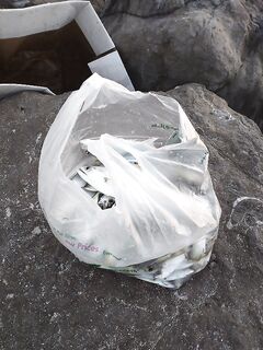 Шарджа советы по берегу лицензии и самодур