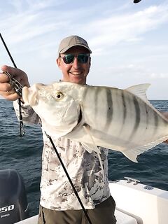 Дубай донная рыбалка и немного кастинга