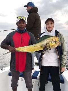 Дубай, шеринговая рыбалка: кастинг, живец и троллинг