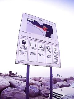 ОАЭ, берега до ковида и сейчас — пускают ли на пляжи для рыбалки?