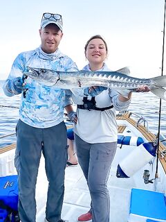 Фуджейра, живец и барракуда — потом рыбалка по махи