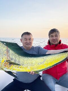 Фуджейра: в сводках «нули», а у нас морская рыбалка пошла