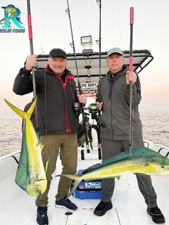 Фуджейра — махи после шторма: стоим и ждём, не «собираем»