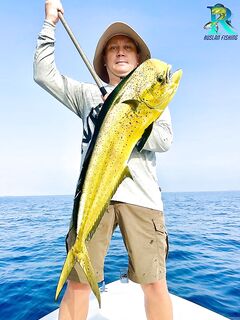 Быстрые перестановки и итог семь рыб морская рыбалка Фуджейра