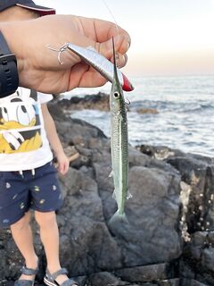 Фуджейра мелкий пляж и дальний заброс береговая морская рыбалка