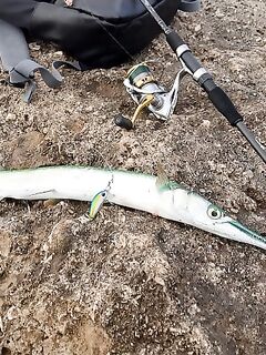 Holiday Beach Resort: камни под боком и «первый опыт» на железо