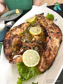 Дубай и Фуджейра — барракуды на живца, квин в кастинг, махи валом