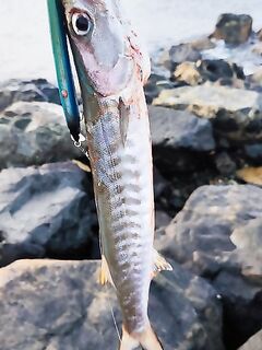 «Чуть руку не вырвало», метр на фрикционе и сход