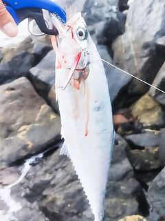 Сарган метр, пируэты в воздухе и «паровоз» в отрыв