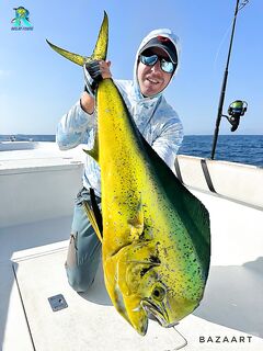 Махи день за днём, а рыба всё равно удивляет