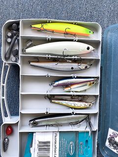 Ассортимент приманок, что ставить первым?