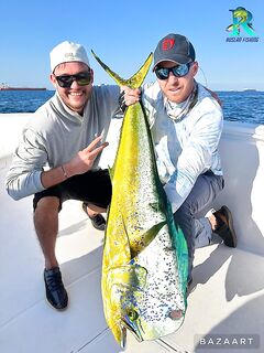 Фуджейра, январь и крупные самцы махи — морская рыбалка в разгаре