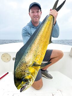 Фуджейра 16.08, махи к каждому кораблю и жара ночью