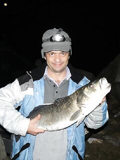 Отвечу по Греции: лаврак 12 кг, Агиязма