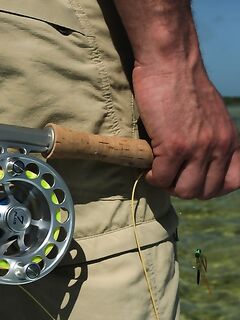 Гиды в Мексике - панги, площадки под кастинг и маршрут