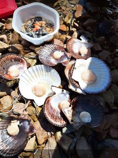 Приглашение: Владивосток, 2–4 человека и морская рыбалка